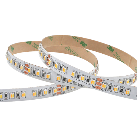 120--24V--19.2W--10mm3527 DW (2 in one) strip  120pcs/m