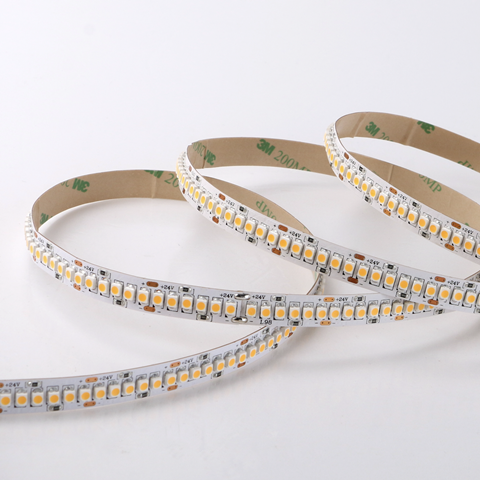 240--24V--19.2W--10mm 3528 LED Strip-->1674LM/m