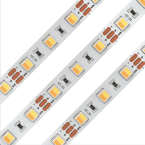 60--24V--19.2W--10mm5050  DW (2 in one) strip  60pcs/m