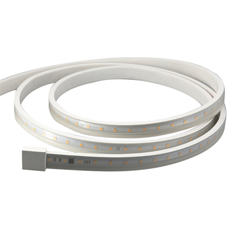 120--220V--12W--10mm 220V 2835  LED strip 120pcs/m